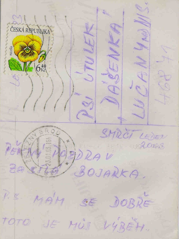 Bojarka