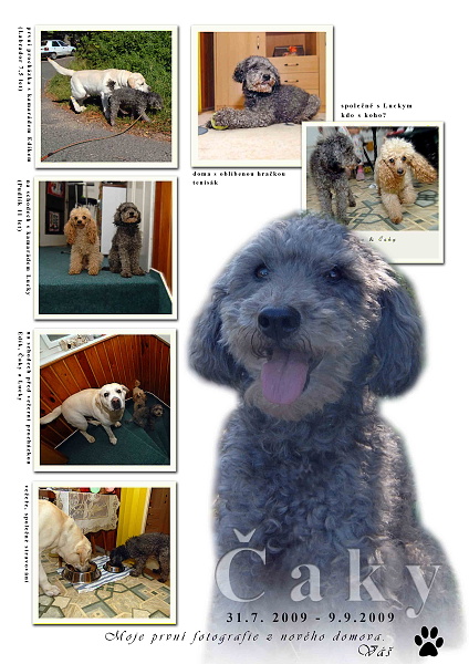 Fotografick� rekonstrukce