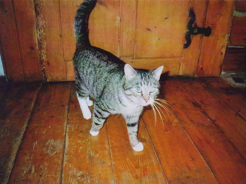 Jerry