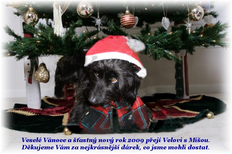 Fotografick� rekonstrukce