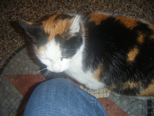 Fotografie rekonstrukce