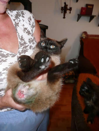 Foto