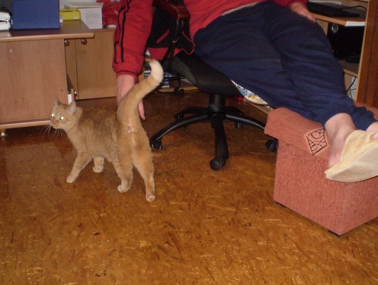 Foto