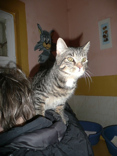 Foto
