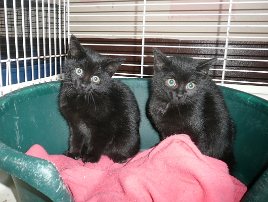 Fotografie rekonstrukce