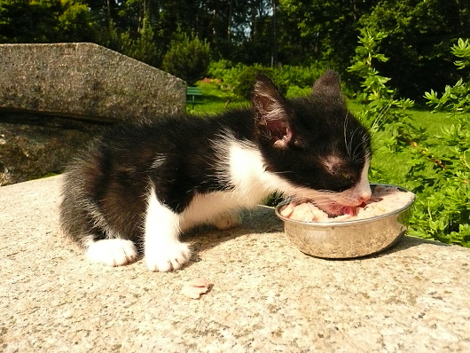 Fotografick� rekonstrukce