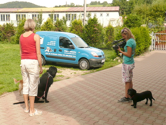 Fotografie rekonstrukce