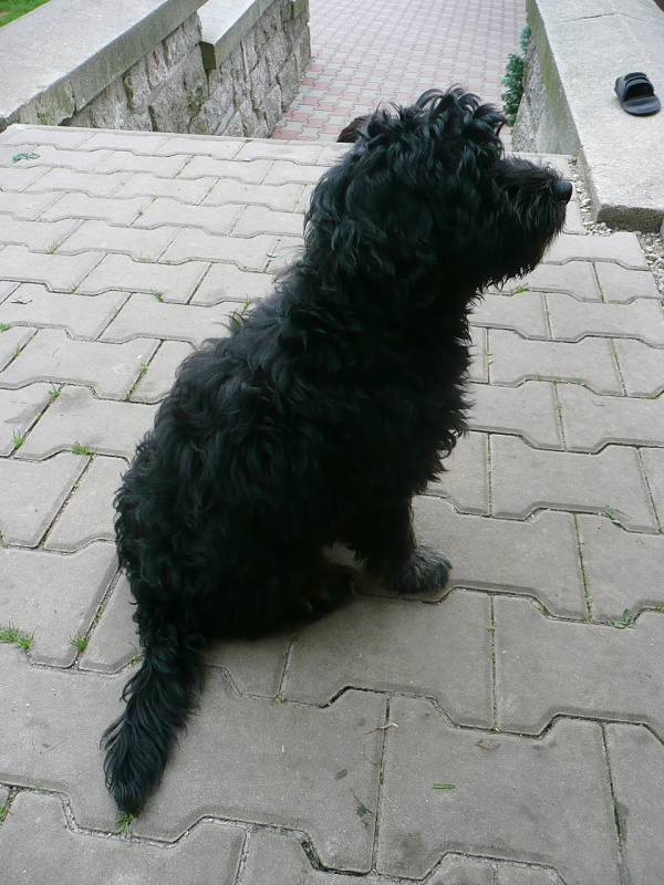 Adinka