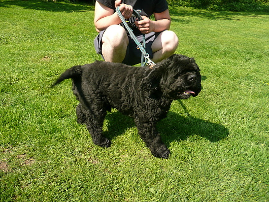 Fotografie rekonstrukce