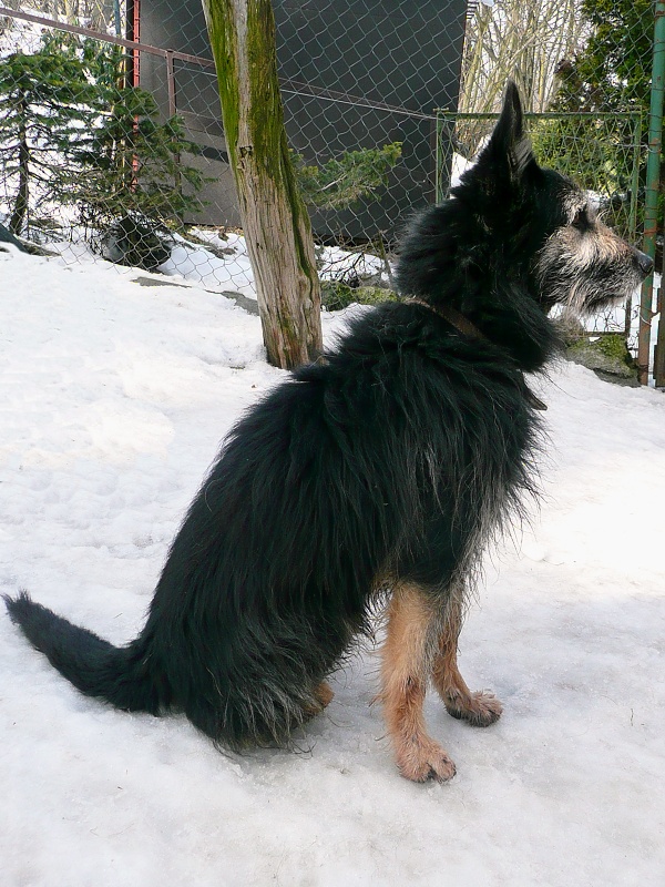 Fotografie rekonstrukce