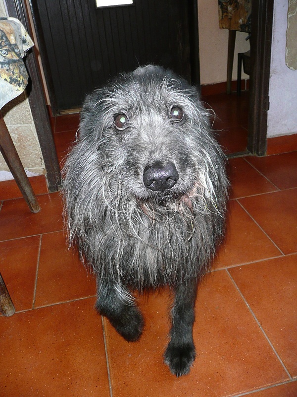 �enda