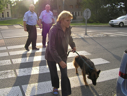 Fotografie rekonstrukce