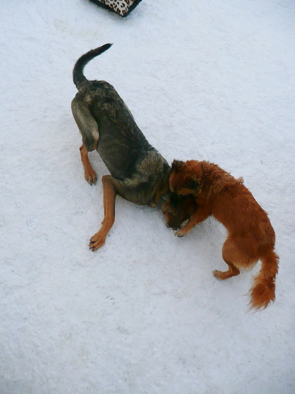 Fotografie rekonstrukce