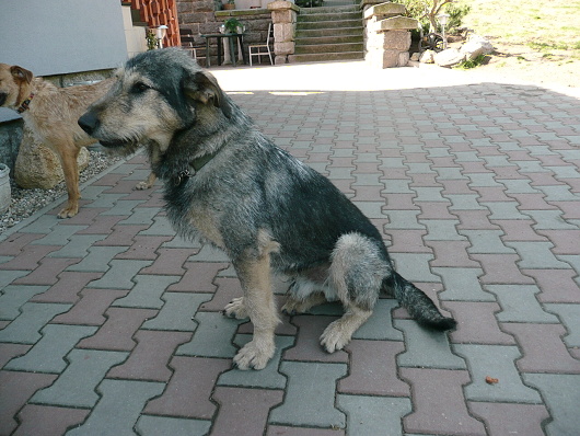 Foto