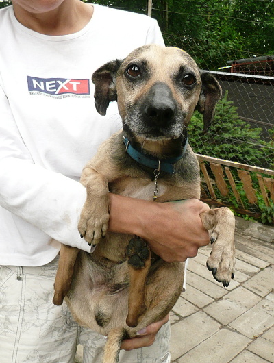 Fotografie rekonstrukce