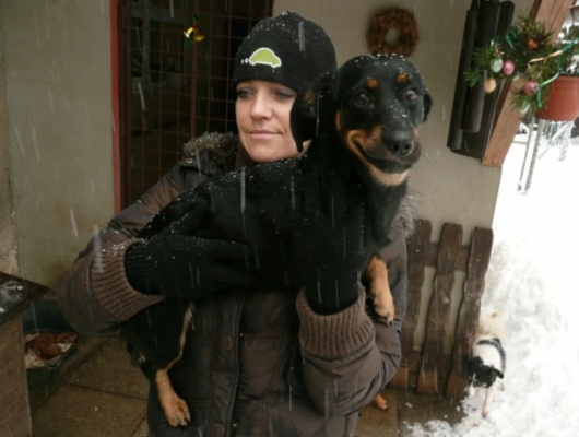 Foto