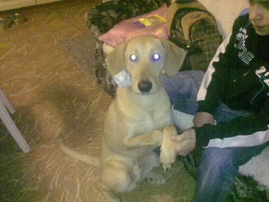 foto