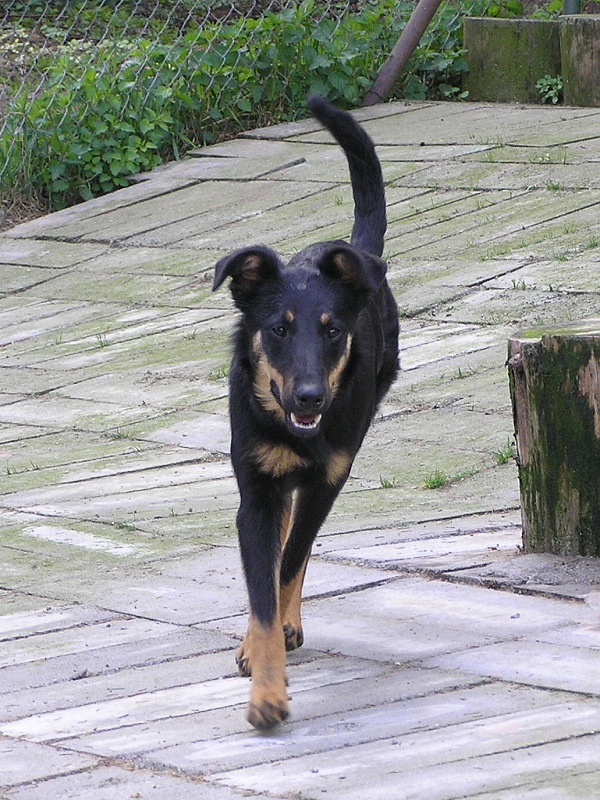 Rita