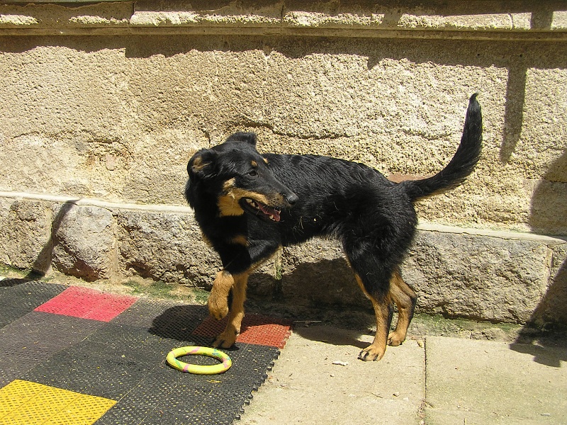 Rita