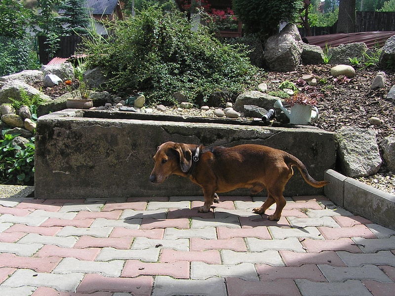 Romeo