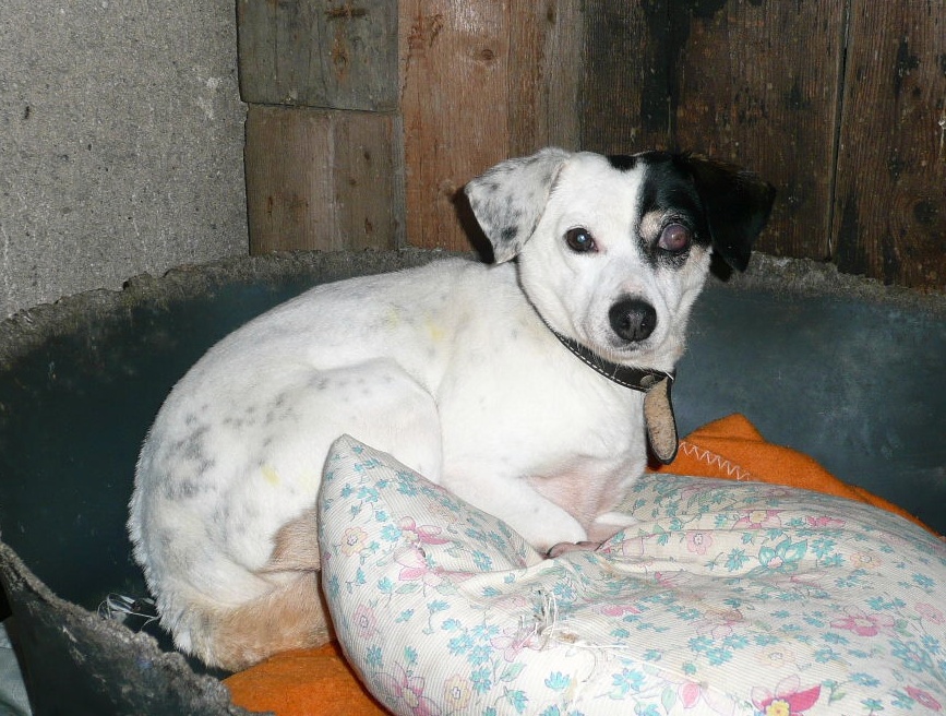 Fotografie rekonstrukce