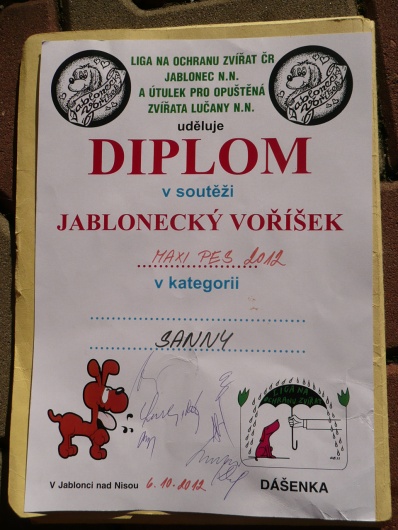 Fotografie rekonstrukce