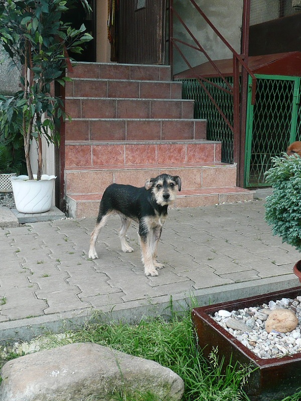 �aryk