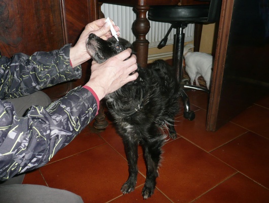Sisinka