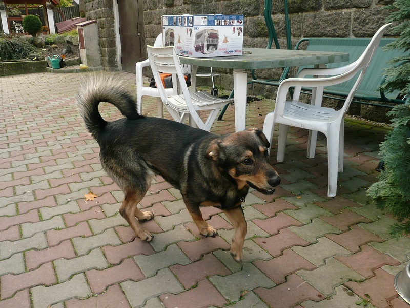 Fotografick� rekonstrukce