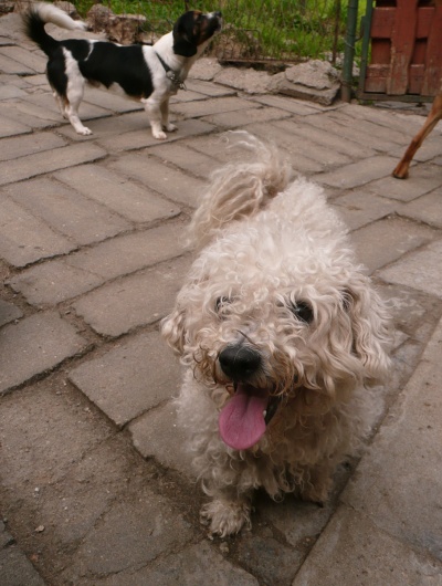 Foto