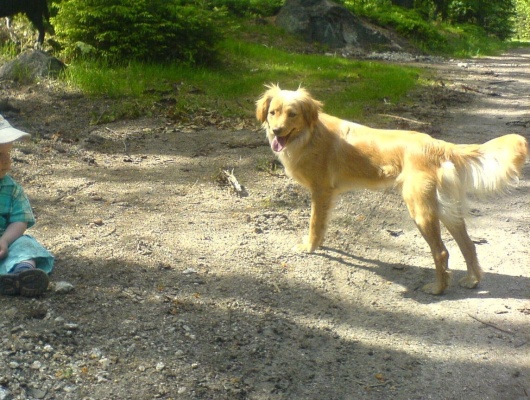 Foto