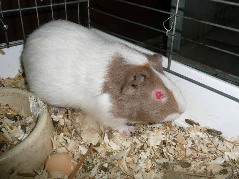 Mor��tko