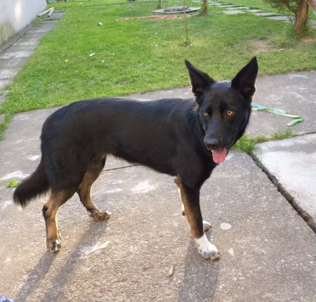 foto